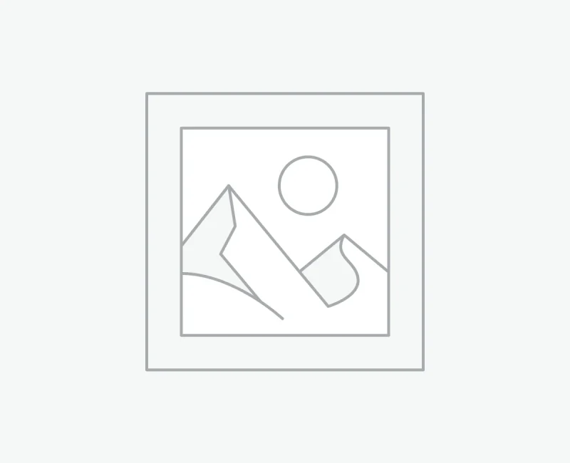 عنصر نائب Placeholder
